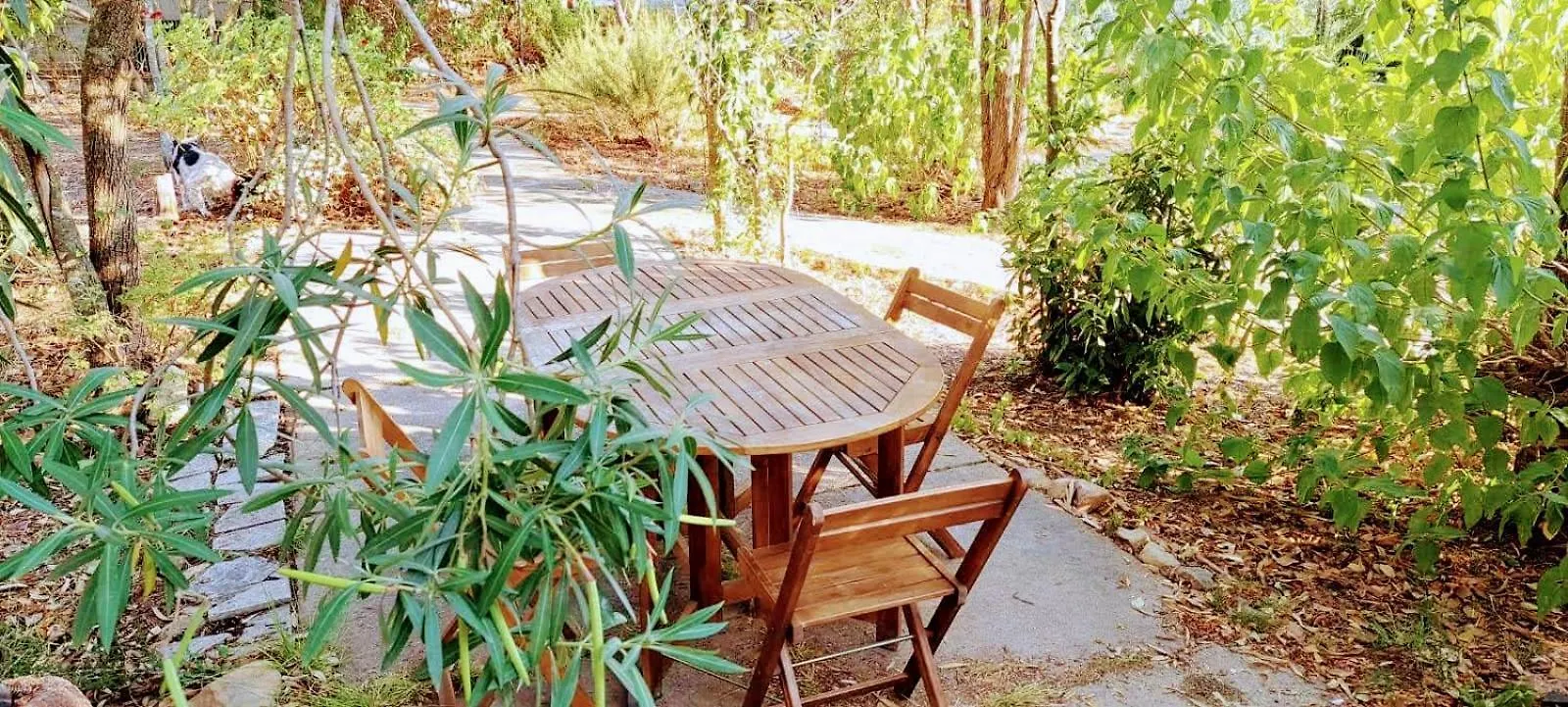 Mirto Villa Olia Speciosa
